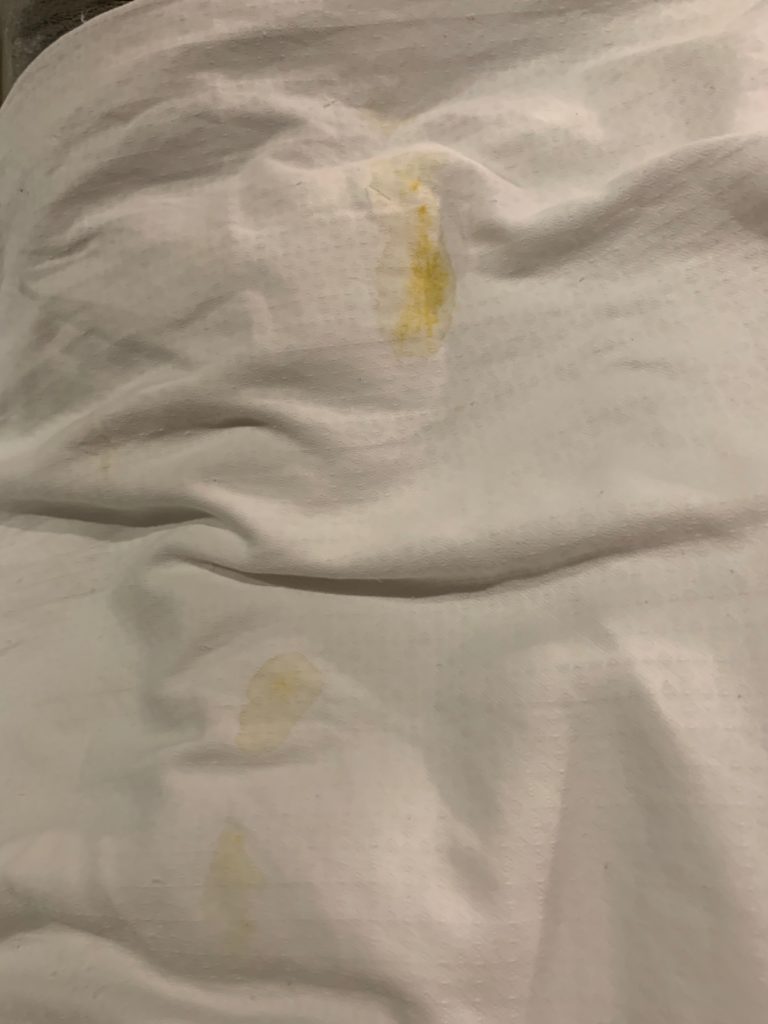 Alas, the clear light of day reveals the white bedsheets are indeed covered with baby poo!